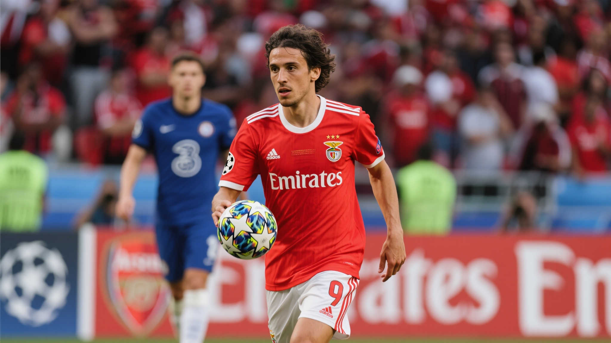 陈晨蓁杨的 陈晨蓁杨的